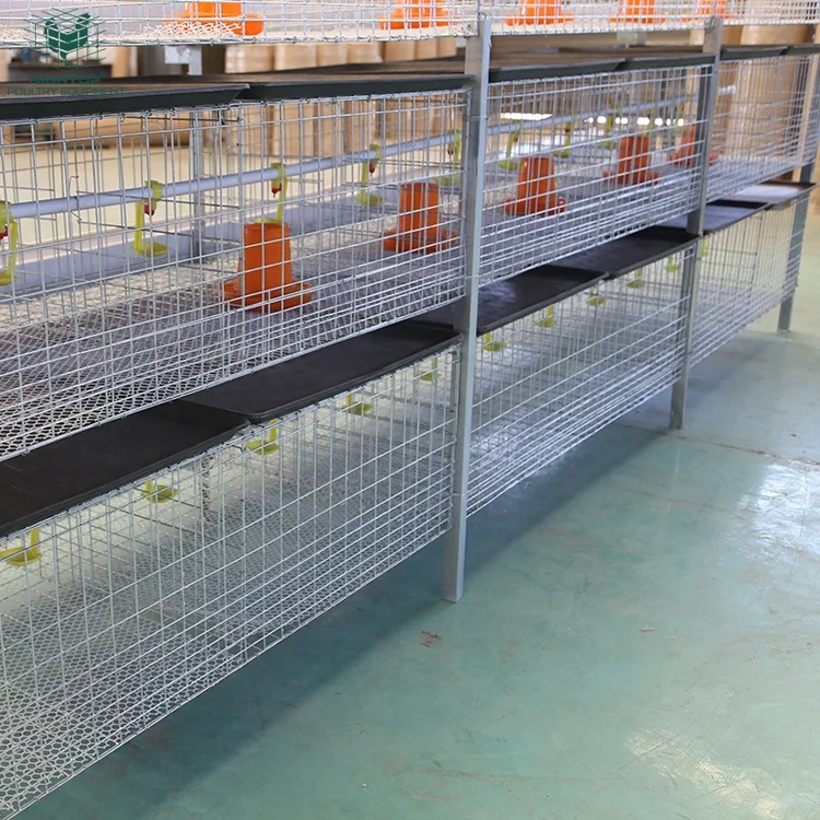 Manual H Type Meat Chicken Cage Nigeria Zambia Chicken Broilers Cage With Manure Plate For Growing Broiler