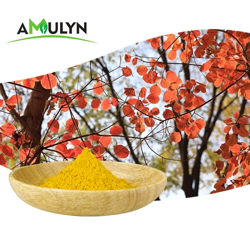 Smoke Tree Extract 98% Fisetin Cotinus Coggygria Extract for supplements