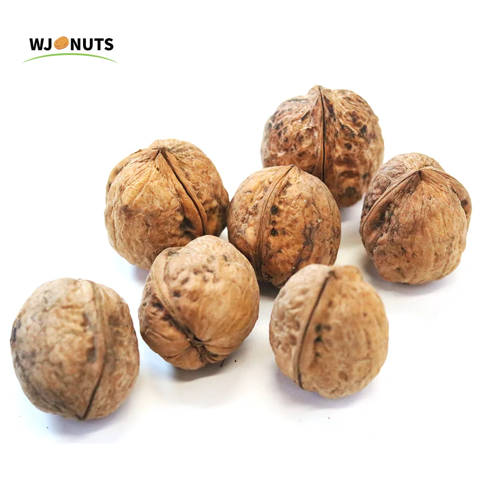 Chinese Best Selling Good Quality 185 Walnut Nut Xingfu Walunt