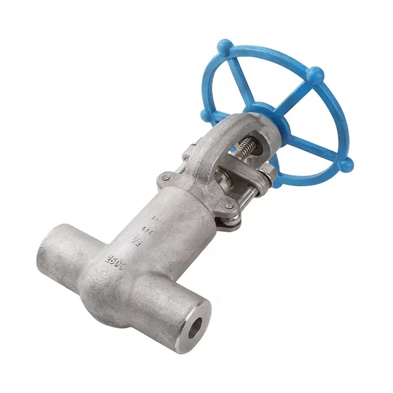 API602 high pressure forged steel F316 NACE MR0175  standard 600LBS 2inch  flange swing check valve