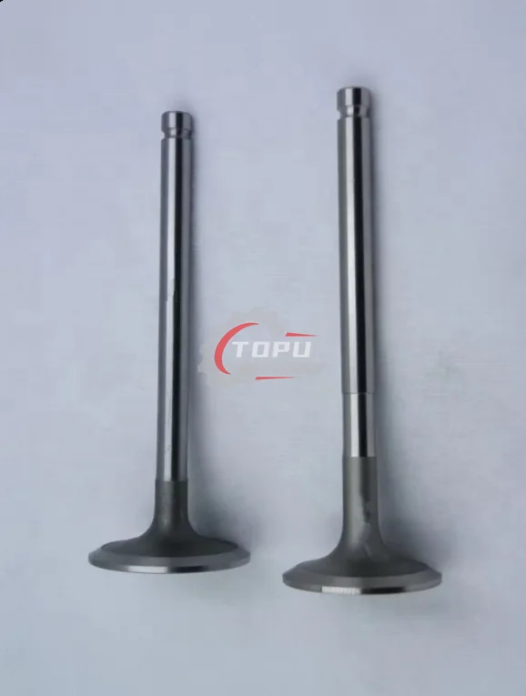 1104C-44T 1104C-44TA 1104 Engine Intake Valve 3142H071  Exhaust Valve 3142A151