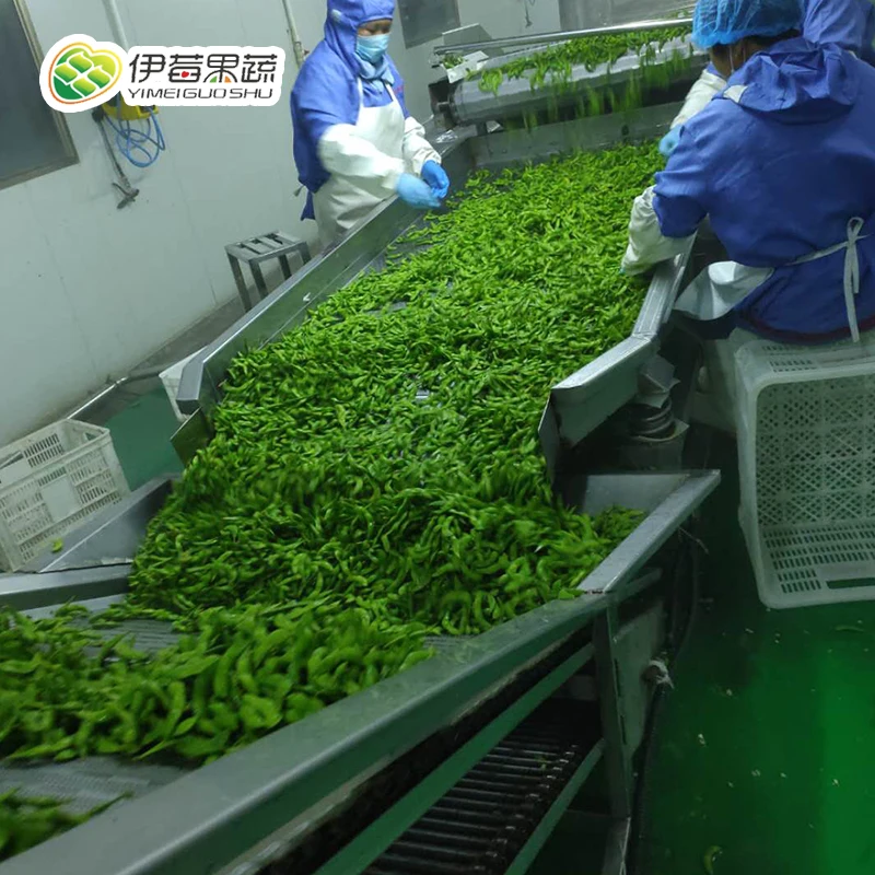 New crop cooked soybeans in freeze