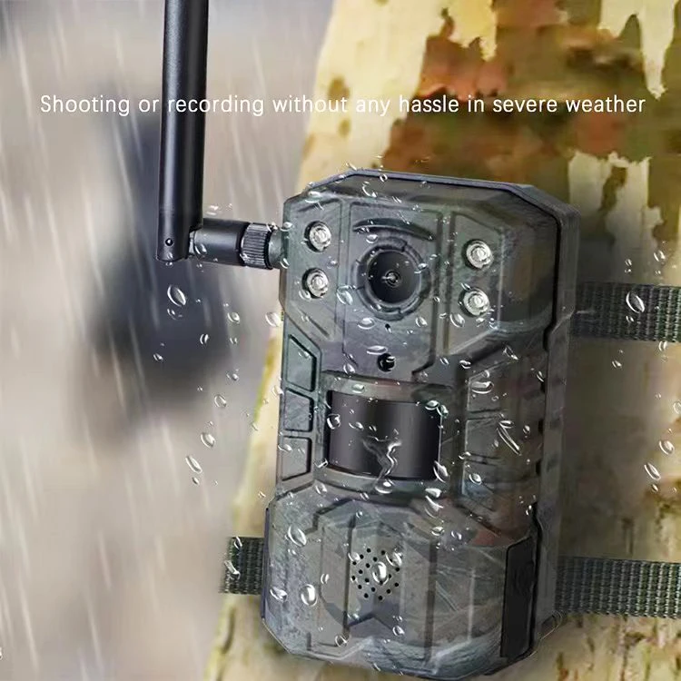 Oem 4G Lte Wildlife Camera Camara De Caza Outdoor Wildcamera Cellular Solar Panel 4G Trail Camera