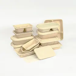 Factory Wholesale Customized Green eco friendly food tray disposable bamboo food tray biodegradable bamboo tray