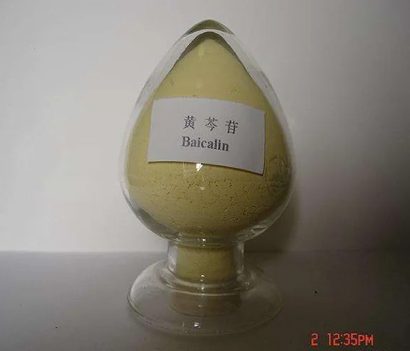 EXW price Baikal skullcap root extract 90% Baicalin in bulk
