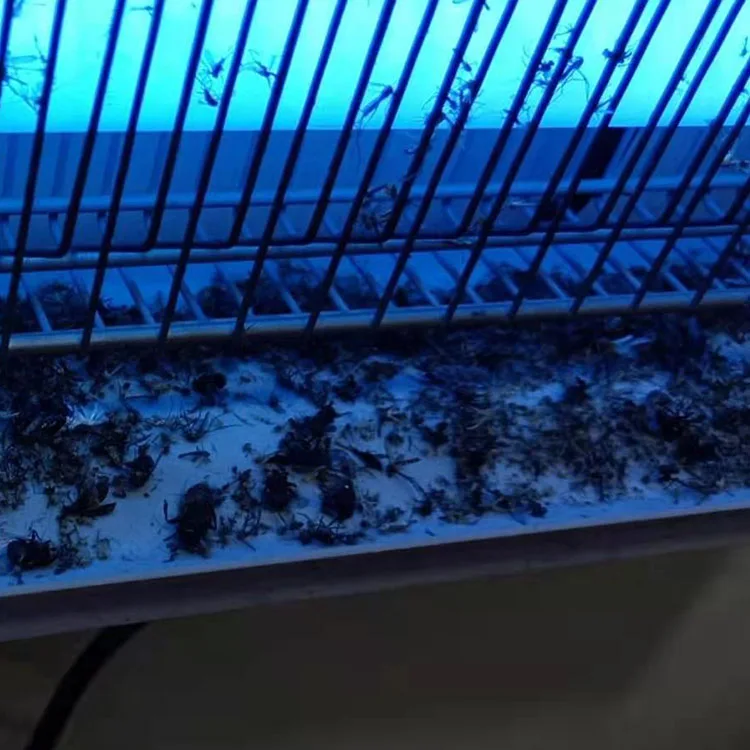 Anti moquito killing bulb fly insect trap glue electric anti mosquito killer lamp