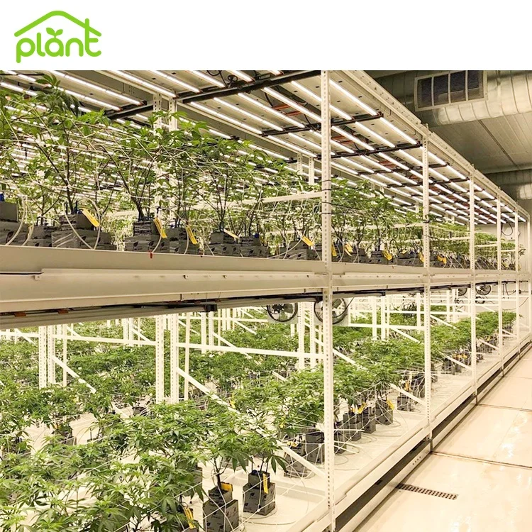 Mobile Multilayer Grow Racking System Microgreens Rack Indoor Plant Racks