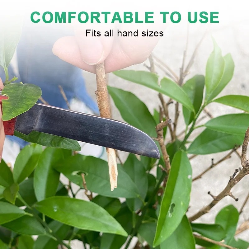 Custom Double Blade Gardening grafting Knife Wooden Handle Cutter Knife Budding Agriculture Folding Knife