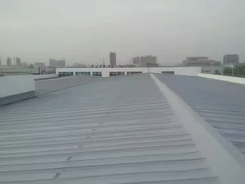 Customize mixed spray material elastomer polyurea Spray polyurea for metal corrosion protection