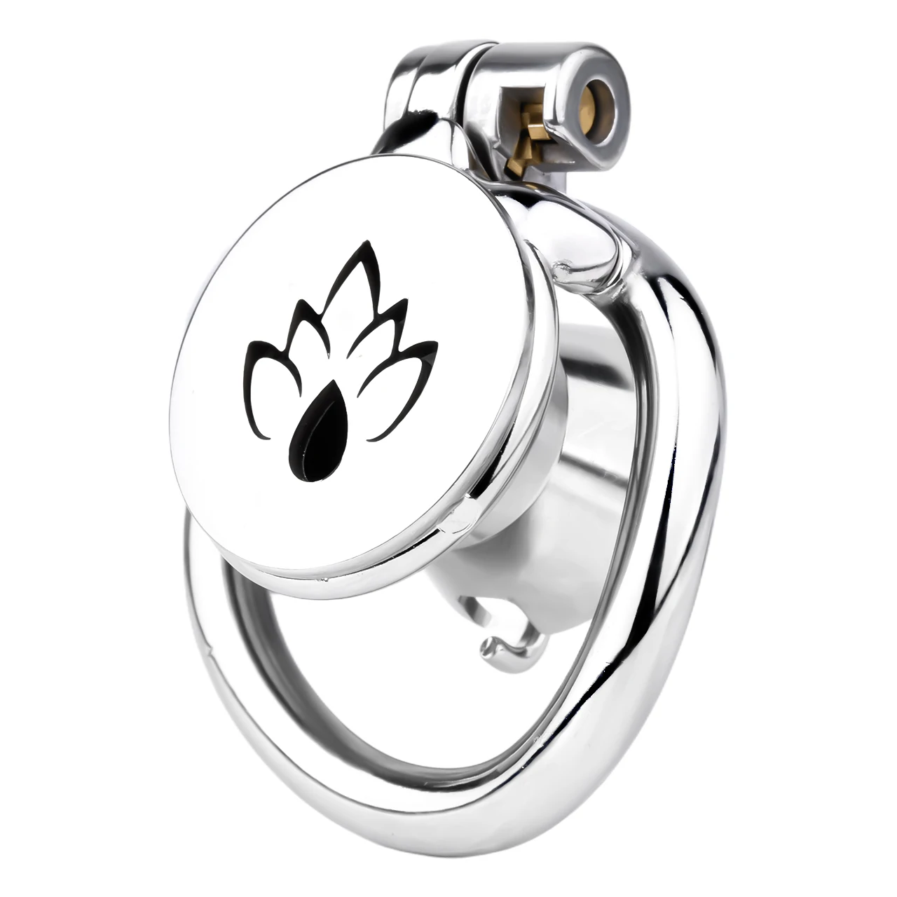 FRRK-3239  wholesale flat chastity cage factory PA chastity cage BDSM Glans Piercing Chastity Device Sex Toys