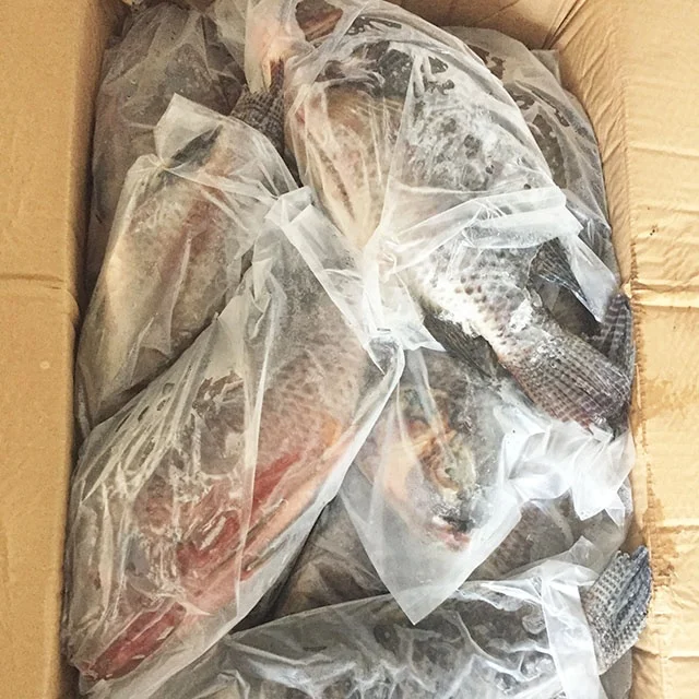 Wholesale seafood top quality fresh fish frozen whole tilapia