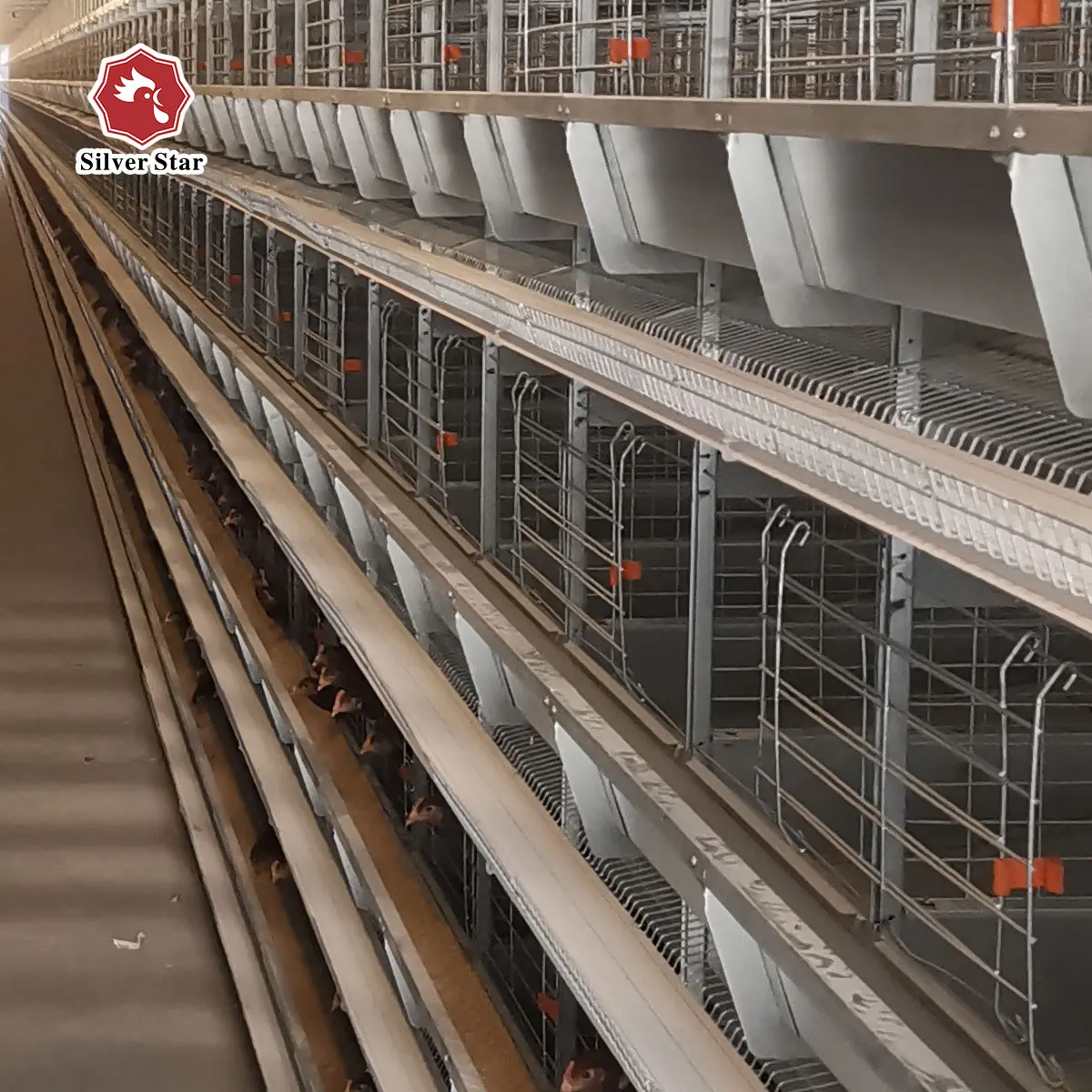 Modern design H type hot sale chicken animal cage poultry battery cage equipment