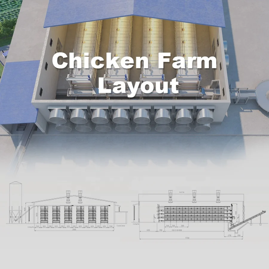 Hot Selling Fully Automated Broiler Battery Chicken Cage System for poultry farm