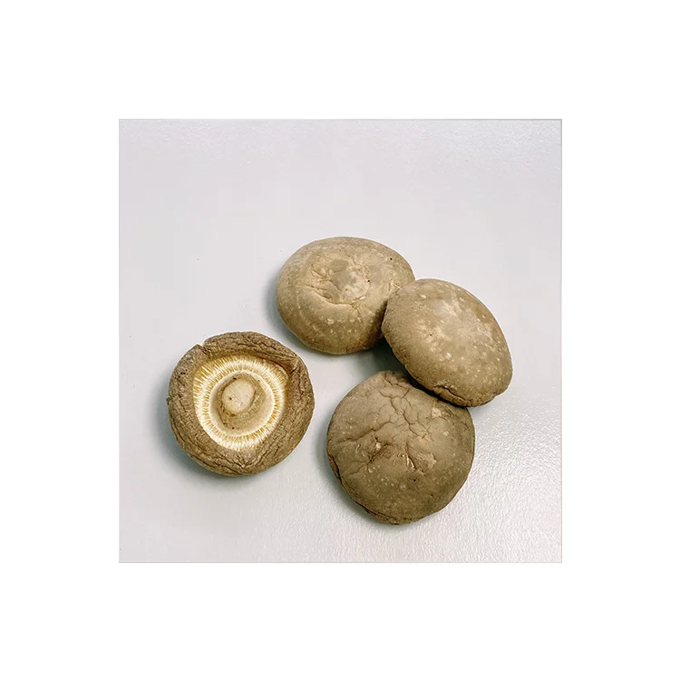 Продажа с завода различные высококачественные Хрустящие сушеные грибы Shiitake цены