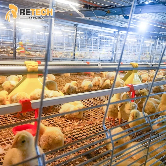 Philippines Automatic 2-4 Tiers Chain Type Harvesting Broiler Cage