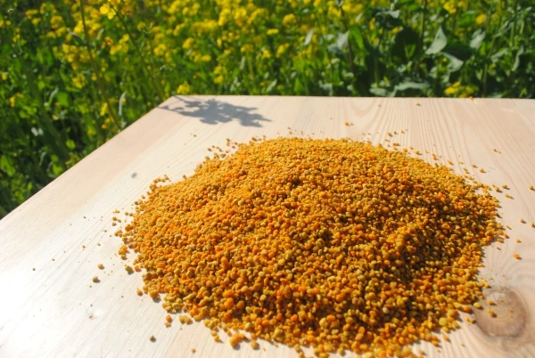 
Fresh Natural Bee Pollen bulk fresh rape bee pollen from beekeeping supplies factory natural bee pollen 