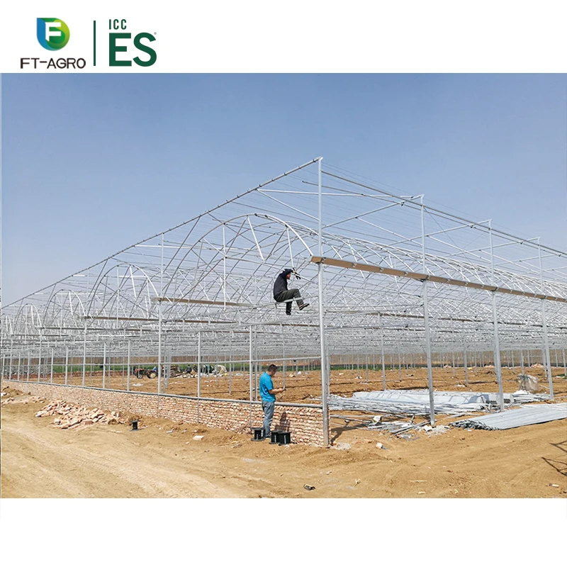 Однослойная и Большая теплица для гидропонного выращивания клубники, теплица для гидропоники