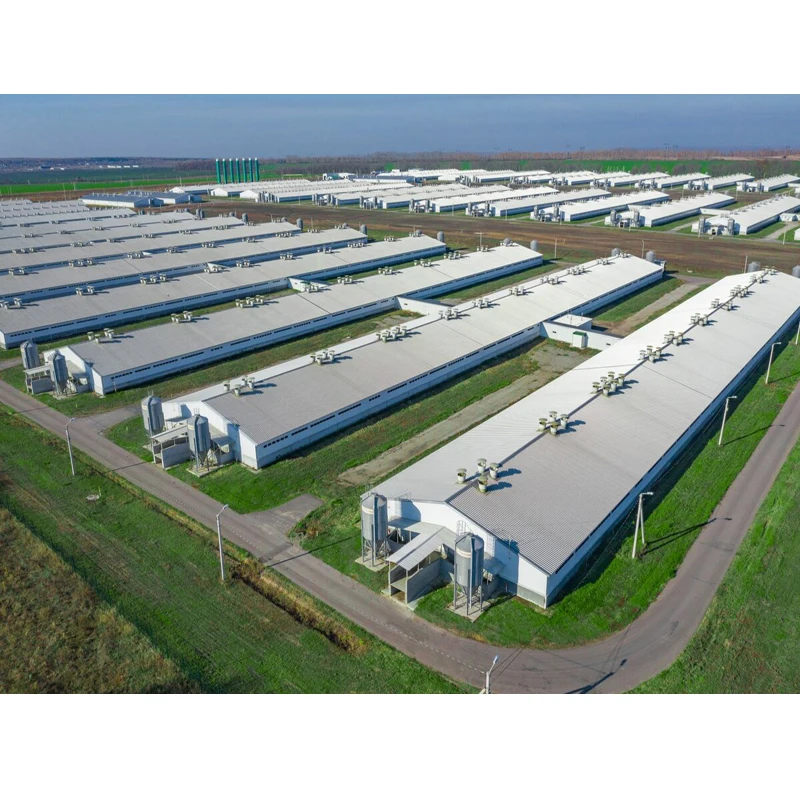 poultry house steel structure poultry shed design modern chicken farm