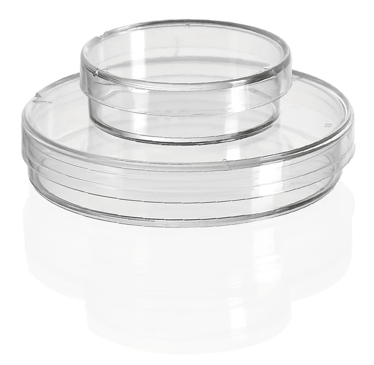 round petri dish
