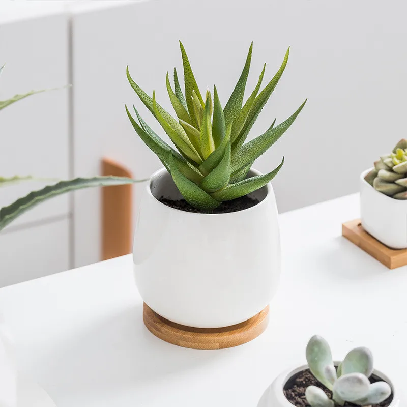 Multi Designs White Decorations For Home Decorative Pot Planter Garden Succulent Plants Ceramics Pot With Bamboo Tray