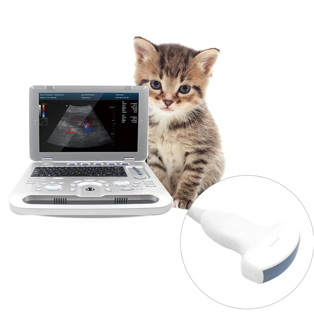 Veterinary Full Digital Ultrasound Scanner Bovine Sheep Equine Portable Doppler Portable Ultrasound Machine Product