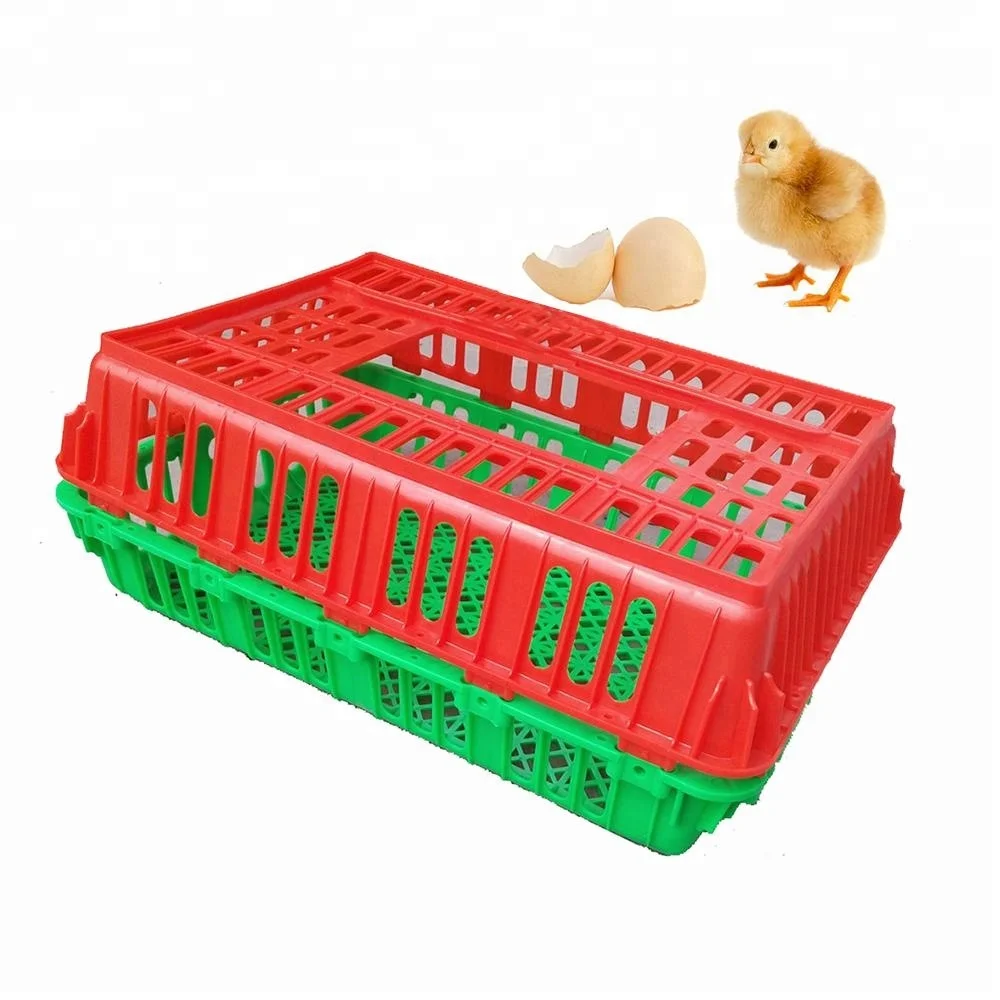 Heavy Duty Mesh Plastic Poultry Transportation Chick Crate