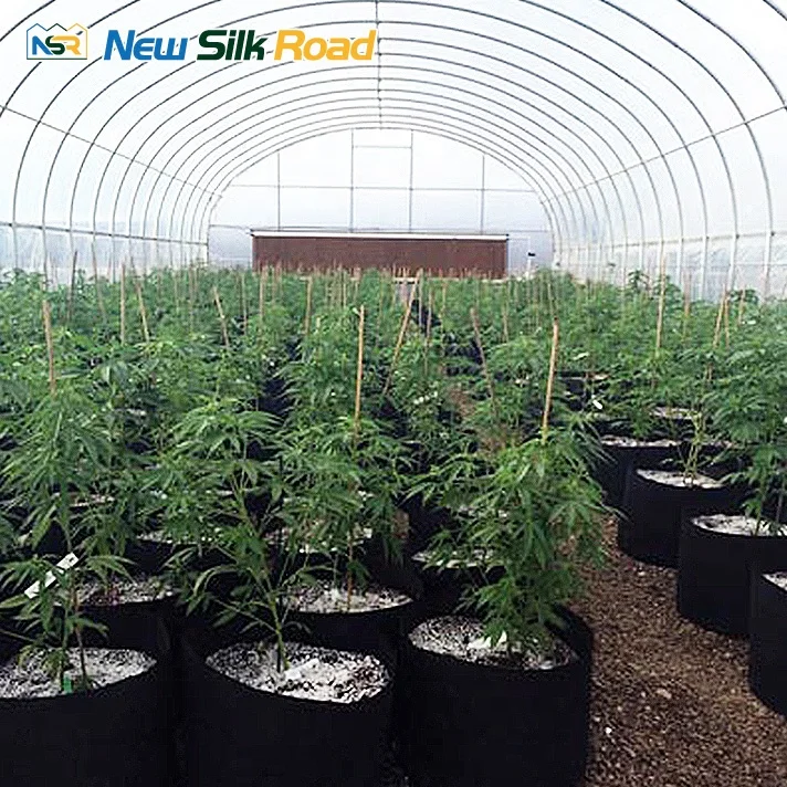 NSR Greenhouse Single Span Single Arch Blackout Light Deprivation Greenhouse For Hemp