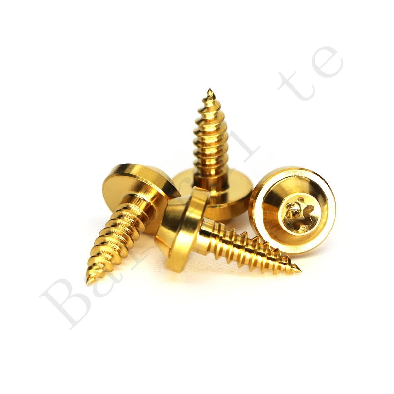 High quality Gr5 M4 M5 titanium self tapping screw for motorcycles