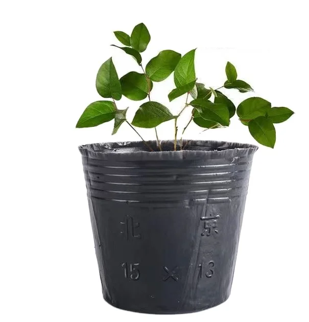 2024 Популярные горшки для растений изготовленные из волокна/пластика с логотипом напечатанным лазером высота-12 см и ширина-12