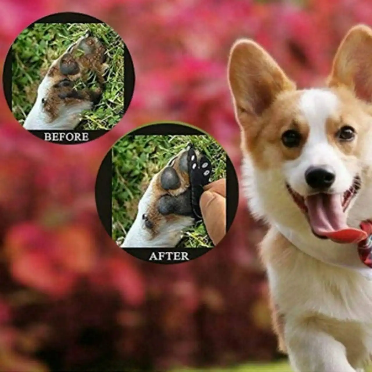 Wholesale 4pcs/set Dog Paw Protection Pads Anti Slip Pet Paw Protector Self Adhesive Dog Paw Stickers