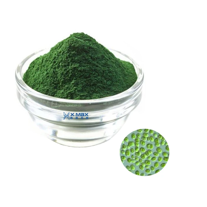
Bulk Chlorella Broken Cell Wall Chlorella Powder Chlorella Spirulina 
