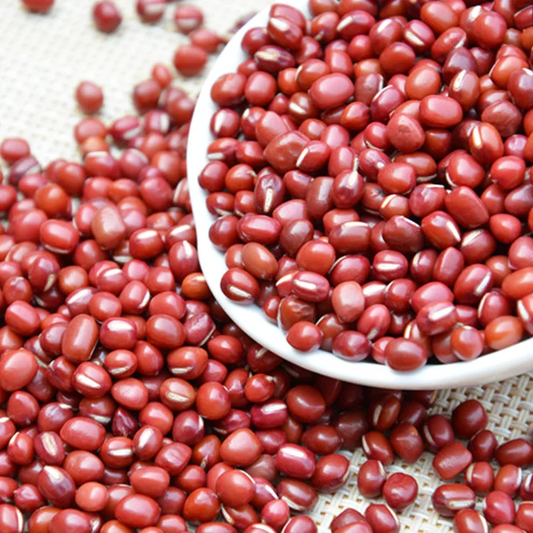 
Wholesale Adzuki Pearl Type Small Round Red Beans 