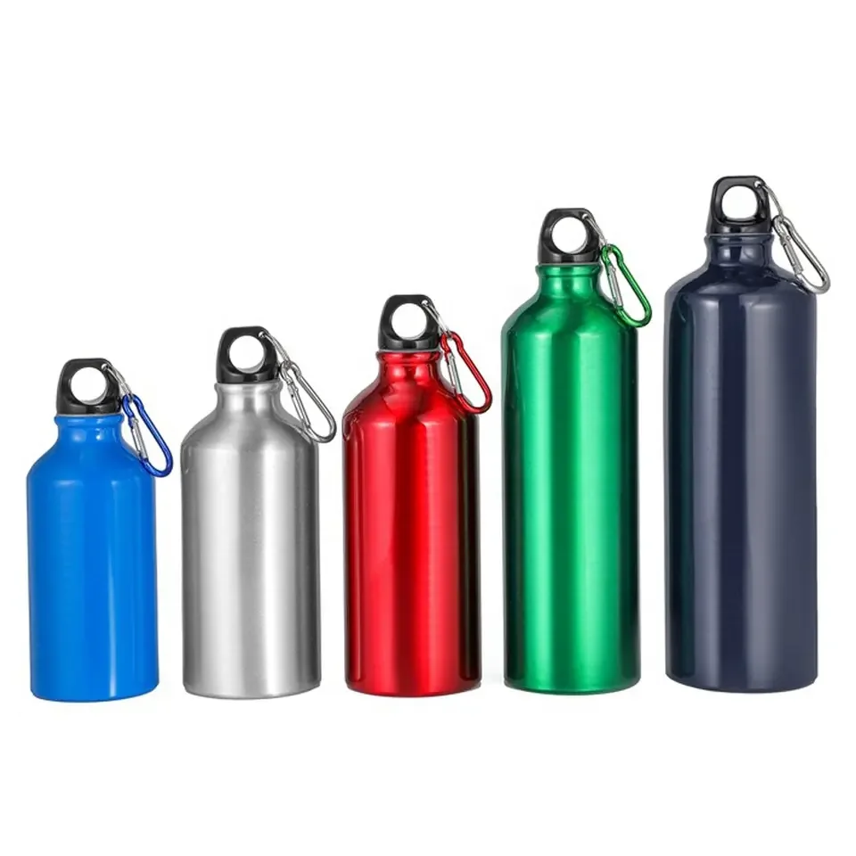 Support OEM 20 Oz metal aluminum sports drink water bottle 500ml 750ml with carabiner cover