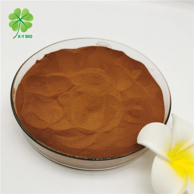 XYBIO Bio Fulvic Acid 70% NPK 100% Powder Promote Plant Growth  Super Minerals organic Fertilizer wholesale