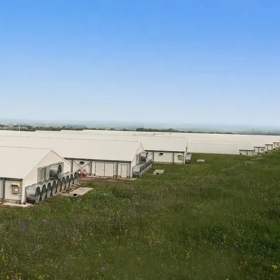 Prefab House Building Industrial light Steel Structure galpon storage building