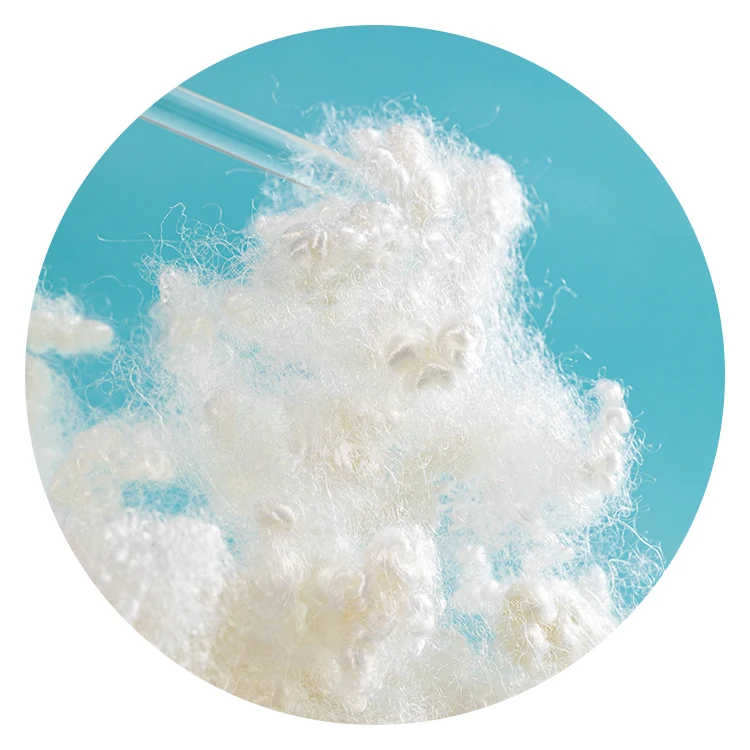 Factory Supplier hollow conjugated siliconized polyester recycled staple fiber made in China