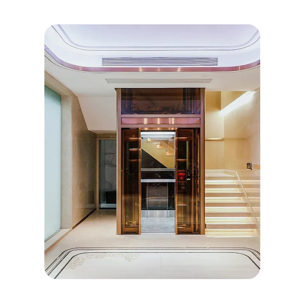 Luxurious comfortable Simple installation Home Lift Good Quality elderly people smart villa elevator