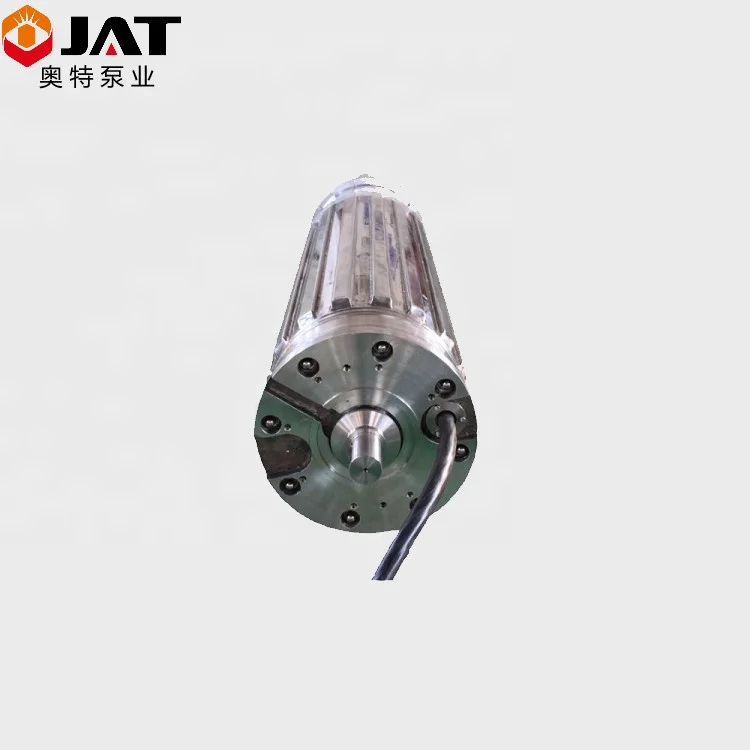 OEM high voltage electric submersible motor
