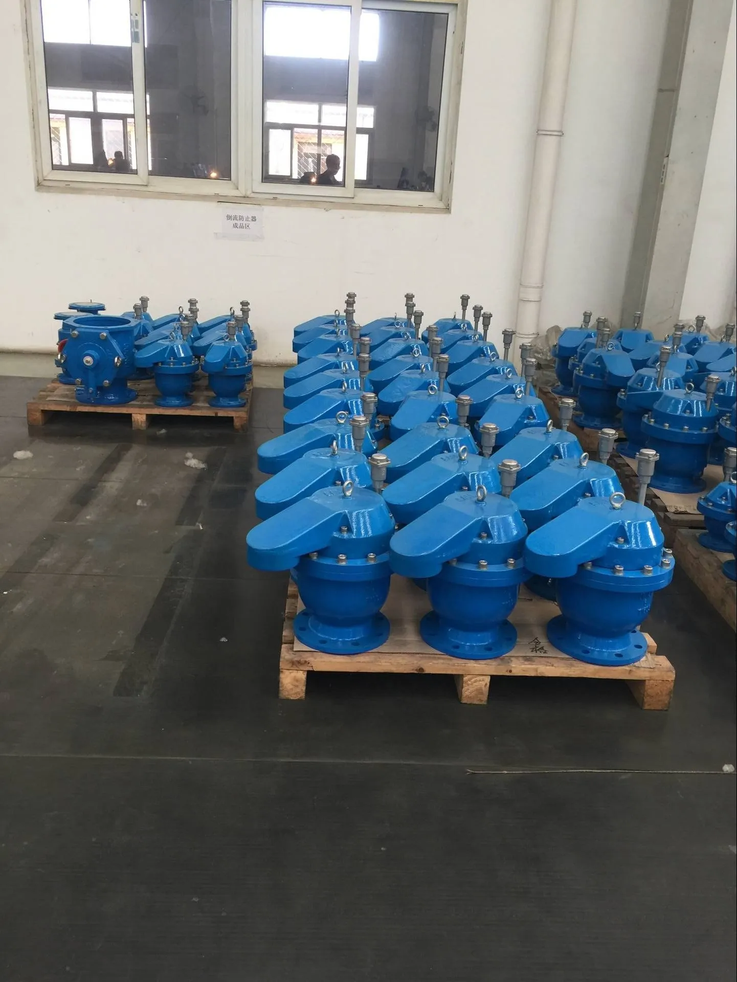 TWS DN50 Ductile Iron Composite High Speed Air Release Valve PN10/16