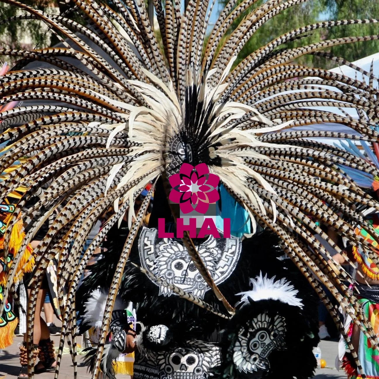 Natural Feathers Wholesale High Quality Long Reeves Pheasant Feathers for Carnival Costumes