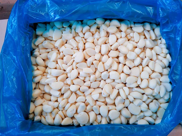 Large Packaged Clean Frozen Garlic in Sweet Taste Spicy Delicious IQF Process Bulk Packed in Carton with Cube Chunk Dice Pattern