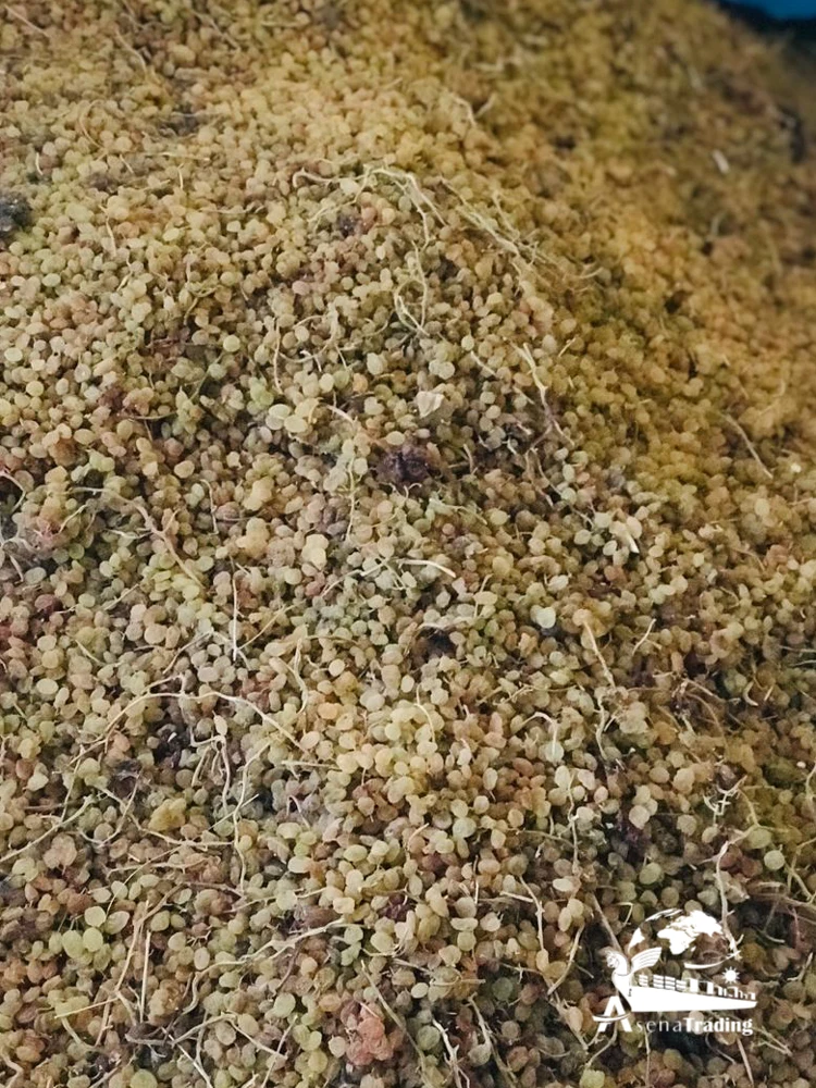 Top Quality raisin Great quality natural dark red sultana currant red green black gold raisin dried raisin