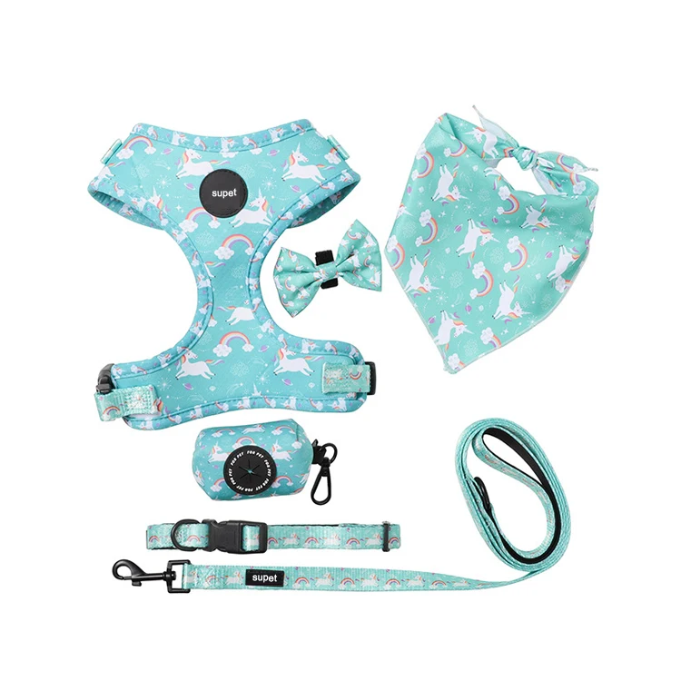 Unique Pattern Design 5 Pieces Print Cat Rope Leads Dog Leash And Harness Set Anti Pull 2022 High Quality