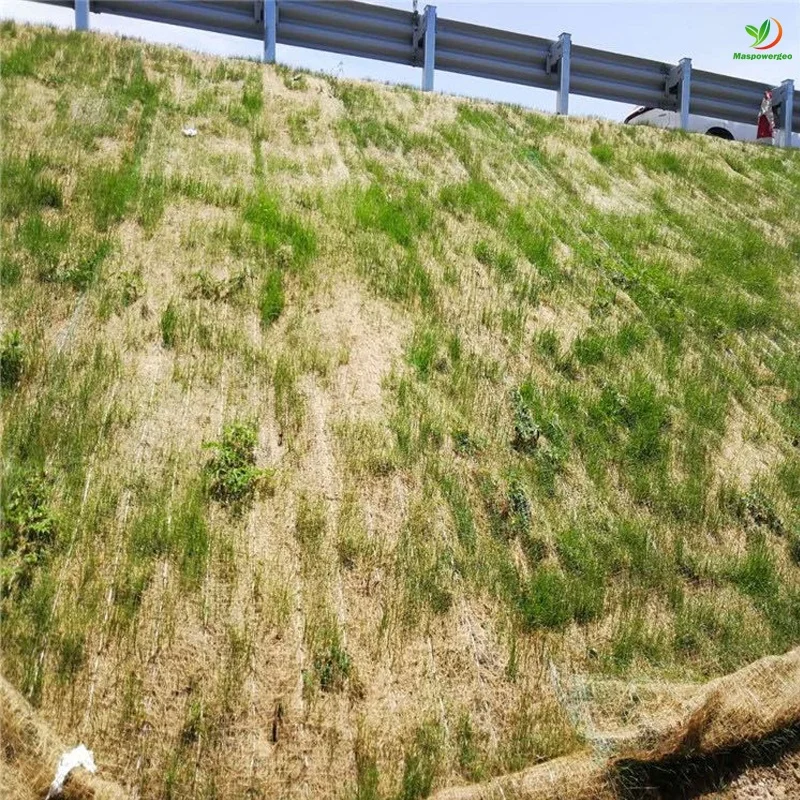 300g 350g 200g Pre-seeded erosion control coir matting for steep slope protection ,river bank erosion control