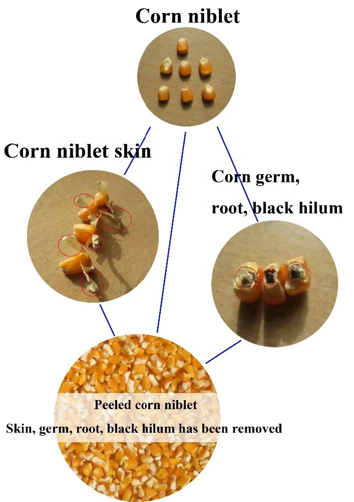 High quality 5ton-50ton/day maize degerminating machine / corn degerminator