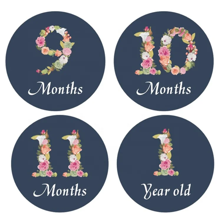 Wholesale Wish New born baby monthly stickers floral milestone stickers