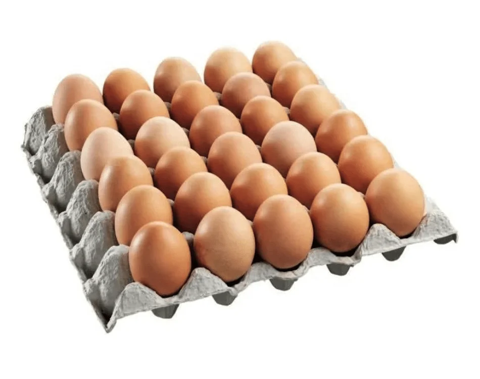Fresh Brown Chicken Eggs Supplier