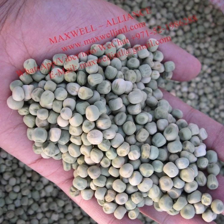 
Wholesale bulk organic DRIED GREEN PEAS 25 kg 