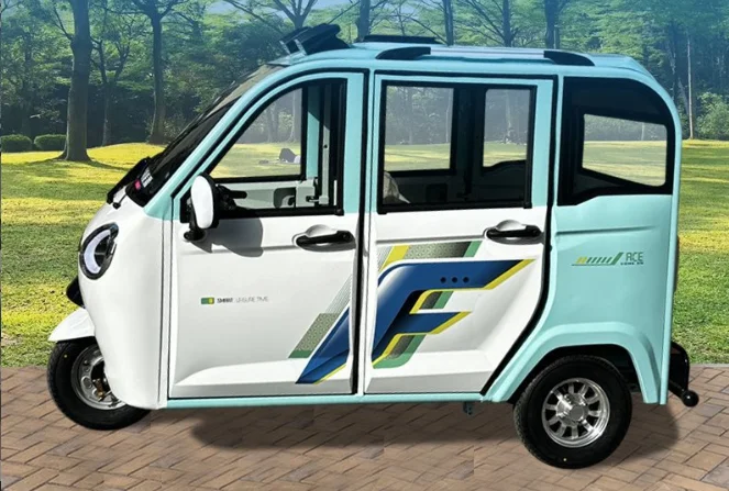 Fully Enclosed Electric Tricycle Adult Family Female Small New Energy Five-door Double-row Battery Tricycle