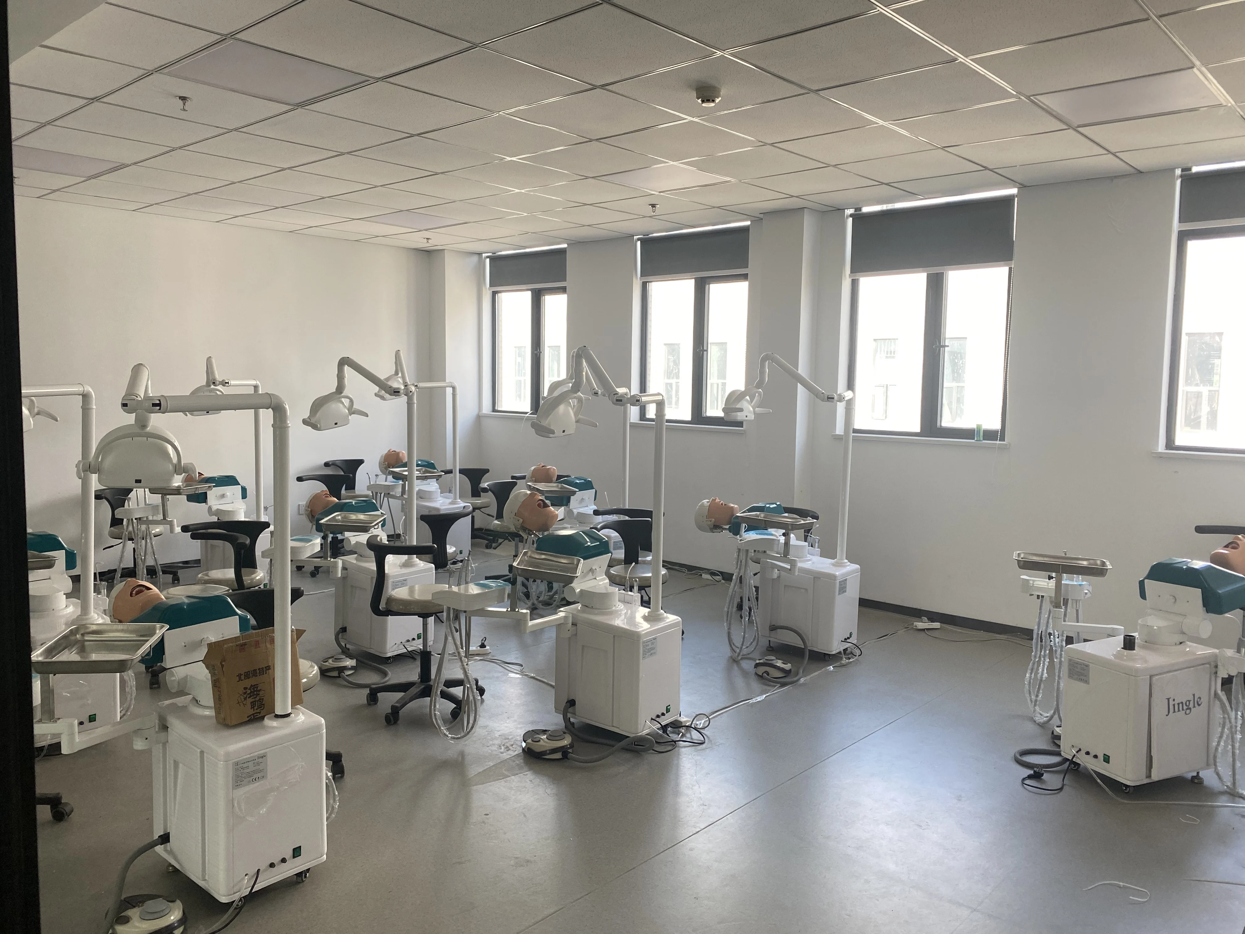 Dental Simulator Manikin Phantom Head Model with 360-Degree Adjustment Resin Teeth Plastic Metal Steel Training Model